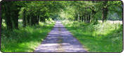 A dirt road in the French countryside
